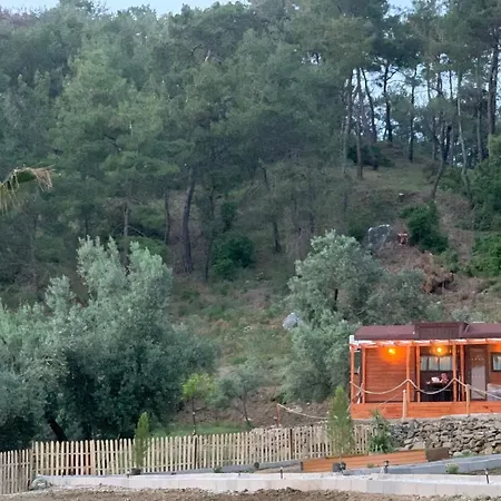 Tiny Mini House Hotel Dalaman Exterior photo