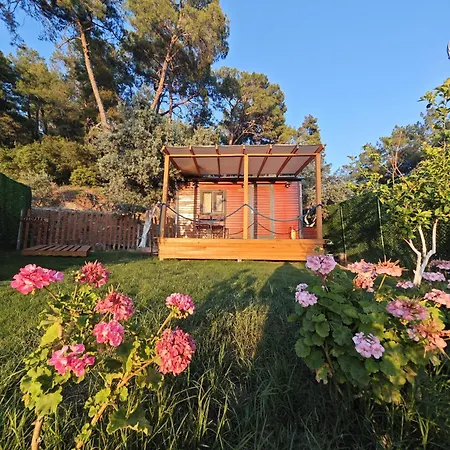 Tiny Mini House Hotel Dalaman Exterior photo
