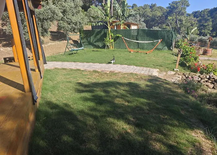 Tiny Mini House