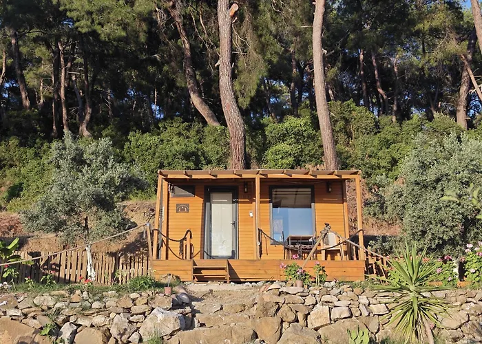 Tiny Mini House