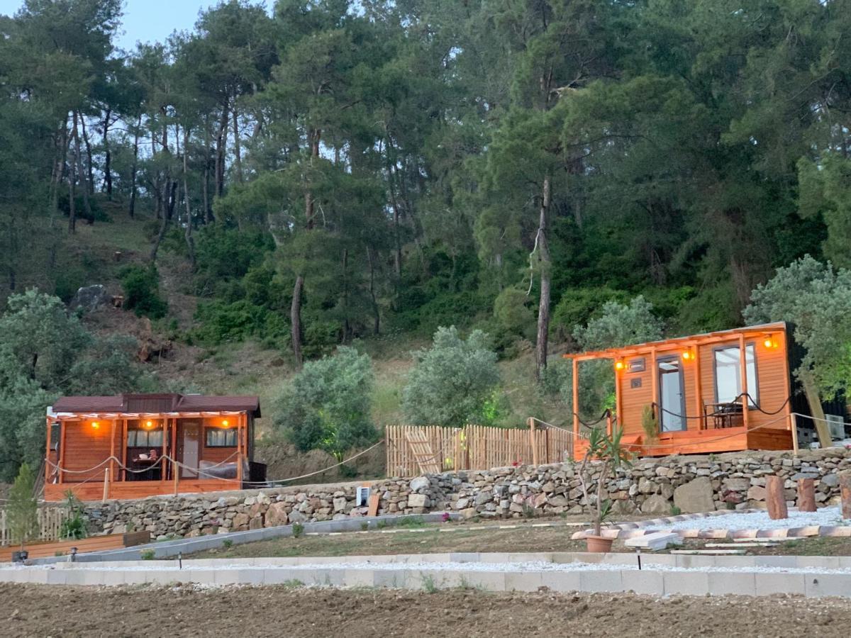 Campingplatz Tiny Mini House