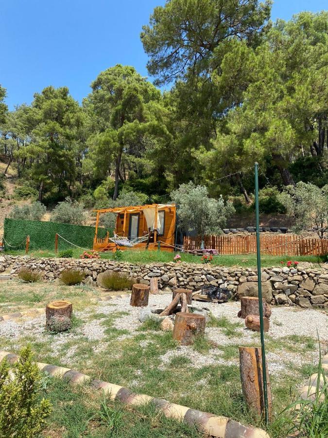 Tiny Mini House Campingplatz