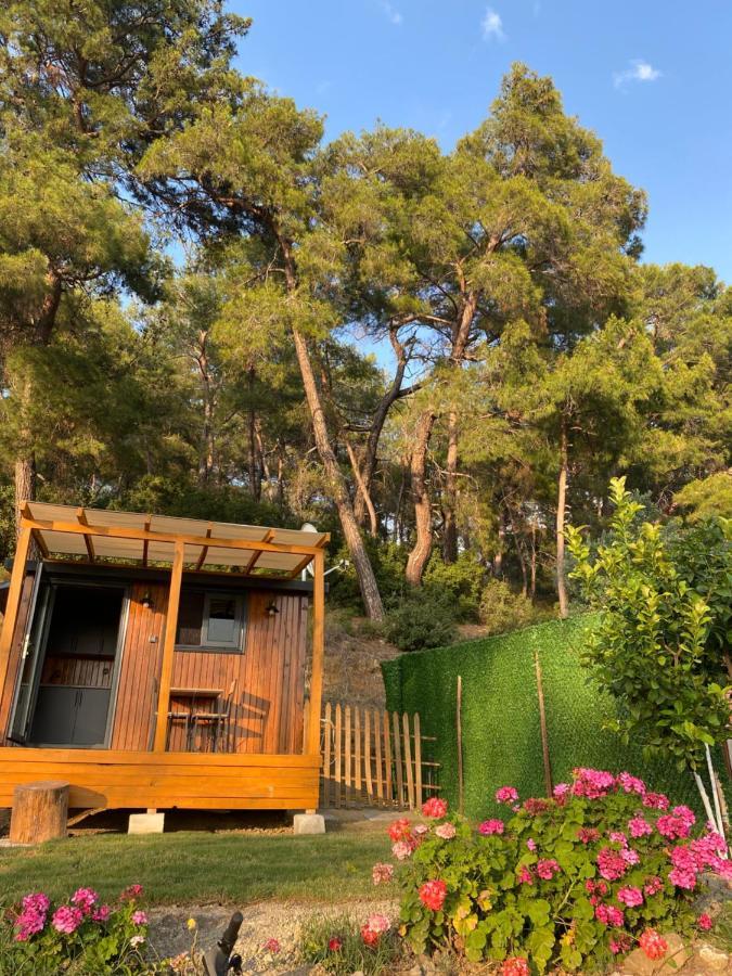 Campingplatz Tiny Mini House Dalaman
