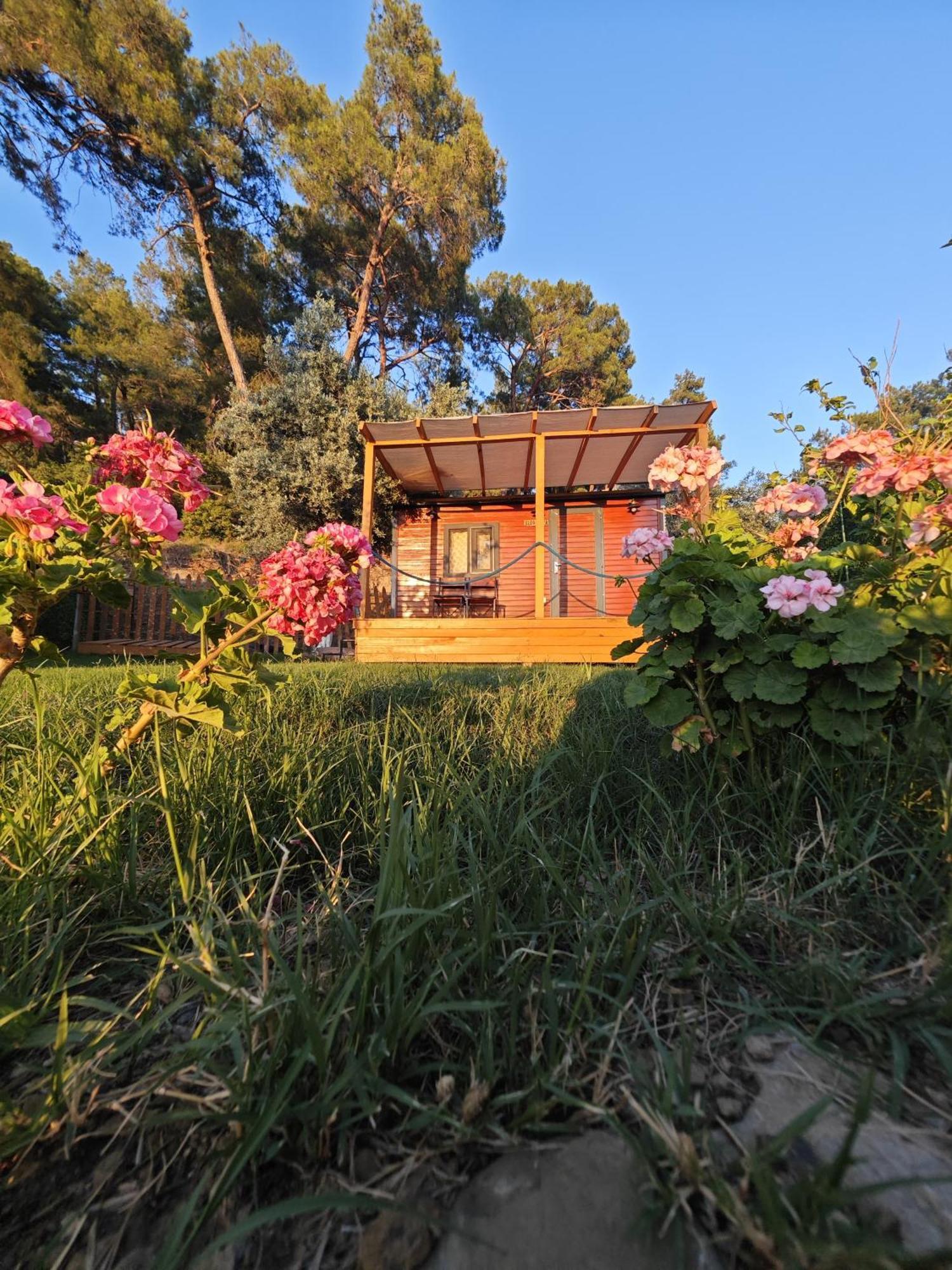 Campingplatz Tiny Mini House